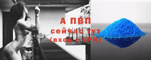 спиды Богородск
